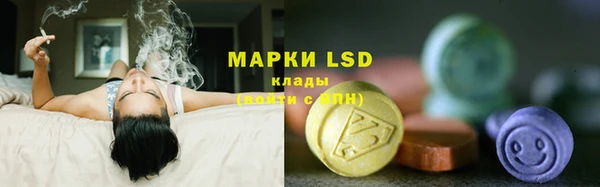 эйфоретик Аркадак