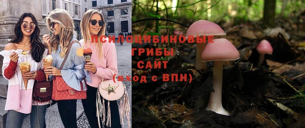 спиды Арсеньев