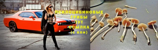 спиды Арсеньев